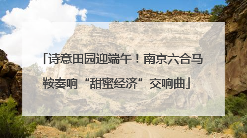 诗意田园迎端午！南京六合马鞍奏响“甜蜜经济”交响曲